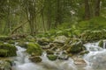 Wild River Nature Ã¢â¬â Relaxing Background